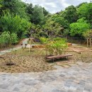 동곡초등 이미지