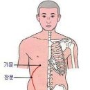 경락과 경혈 (간) 이미지