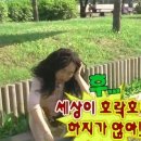 반려견 수제 간식 만들기 이미지