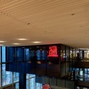 단영한우 | 광화문 맛집 고청담 광화문디타워 소고기 데이트 후기