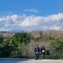 조개패거리 | [25년 2월] 시칠리아 카타니아 여행 ③ _ 두오모 광장, 수산시장, 마에스트란제 공원, 라 펠트리넬리...