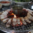 제주돈돼지 이미지