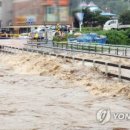 [속보]주말 전국에 또다시 '물폭탄'…5호 태풍 '독수리' 발생 내주 변수 이미지