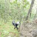 성균목장 이미지