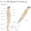 근육이름 검색했는데 이게 뭐냐 이미지