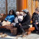 함평주포해수찜 이미지