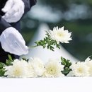 최현수약국 이미지