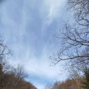 영진목장 이미지