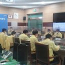 순천-12호 이미지