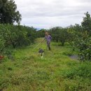 유청농장 이미지