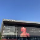 넬썹 | 한요한 정규 5집 콘서트, 예스24 라이브홀 지정석 Y구역 시야