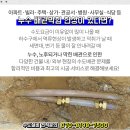 학장성심의원 이미지