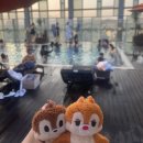 동대문 노보텔 앰배서더 내돈내산 후기 (루프탑 수영장 꿀팁, 동대문 야시장, 광장시장 데이트 코스)