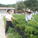 칠보파출소 이미지