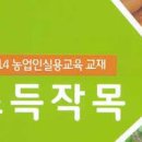 양파 수확시기! 마늘 캐는 시기 6월 *양파도복, 벌마늘 마늘쫑 이미지
