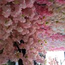 원광대학교 한의학전문대학원 | 다인사 인천 부평동 전문적인 상담을 받고 싶을때...통계가 아닌 현실. 26년 신년맞이 사주 보고 온 후기