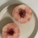 서원농장 | 복숭아 농원에서 주문하면 더 맛있을까? 김천과일농부아들 몽스즈꾸, 서원농원 천중도