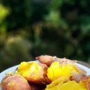 마리네 농장 이미지