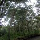 효창공원 이미지