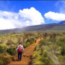 뽈레뽈레 이미지