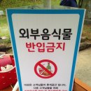 온천자미정 | 부곡CC 라운딩 후기