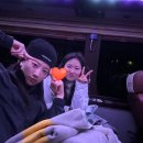 초록산등산로 | [11/17~11/18] 영남알프스(무박 등산)