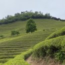 (주)보성유통 이미지