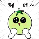 슬로우 잇 다운 이미지