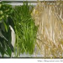 해동아구찜 이미지