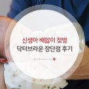 닥터그린홈 | 신생아 배앓이 젖병 닥터브라운 장단점 후기