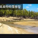 몽산포레져 | 태안군 감성 캠핑장 추천 몽산포로타리캠핑장 몽산포로타리캠핑장 깨끗하고 편안한 공간이에요