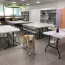 내곡연두 이미지