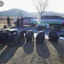 해평파크골프장 이미지