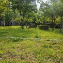 대실근린공원 이미지