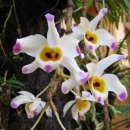 대포초등학교 이미지