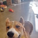 아지트, 멍 카페 이미지