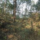 성요셉치매센타 이미지