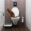 학문외과의원 이미지