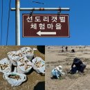 서천냉동냉장 | 서천 갯벌체험 추천! 선도리갯벌체험장 6월 방문 후기 (+물때 시간 확인 필수) “선도리갯벌체험장”
