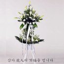 (주)의림투어 Daum카페