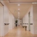 설문해바라기요양원