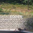 광교호수중학교 이미지