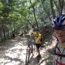 청룡저수지 이미지