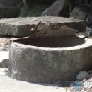 주생면 낙동마을 이미지