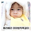페리베리주얼리 미아방지목걸이 써지컬스틸 별목걸이 탄생석 11월 토파즈