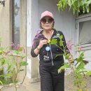 일박이일 Daum카페
