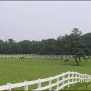 신하목장 이미지