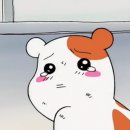 살롱5