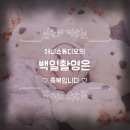 소망어린이집 | 자연채광 예쁜 안양 평촌 백일 큐티 앨범 예쁜아기 감상하세요^^