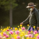 계절성 알레르기 원인과 완화 방법 이미지